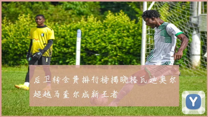 后卫转会费排行榜揭晓格瓦迪奥尔超越马奎尔成新王者