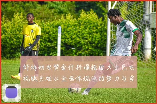 舒梅切尔赞舍什科逼抢能力出色电视镜头难以全面体现他的努力与贡献